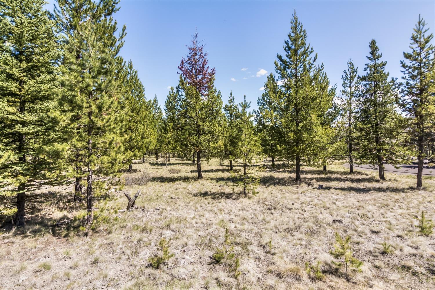 71 Twin Rivers Drive Bend, OR 97707 - Photo 9 of 17 Looking east. Cul-de-sac is to the right