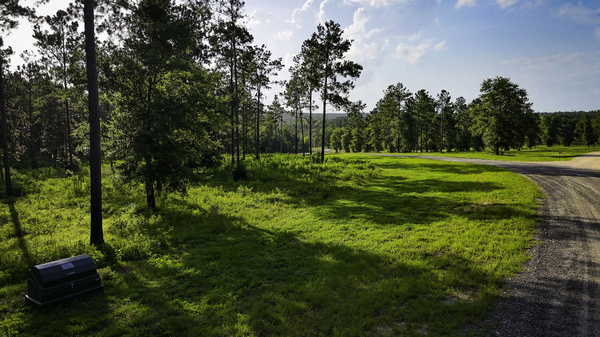 Tbd Lot 5 Tbd Road Livingston, TX 77351 - Photo 20 of 24 Gallery Image 20