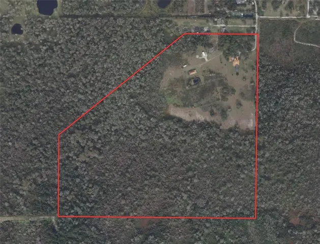 a bathroom with a shower and a toilet