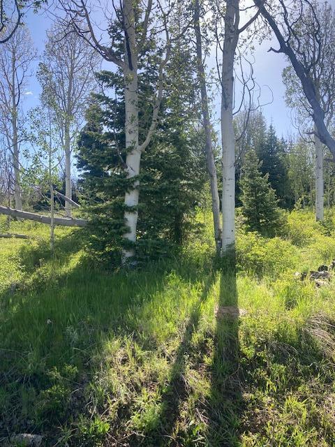 271 North Whispering Pines Road, Unit 21 Springdale, UT 84767 - Photo 2 of 8 IMG_3520