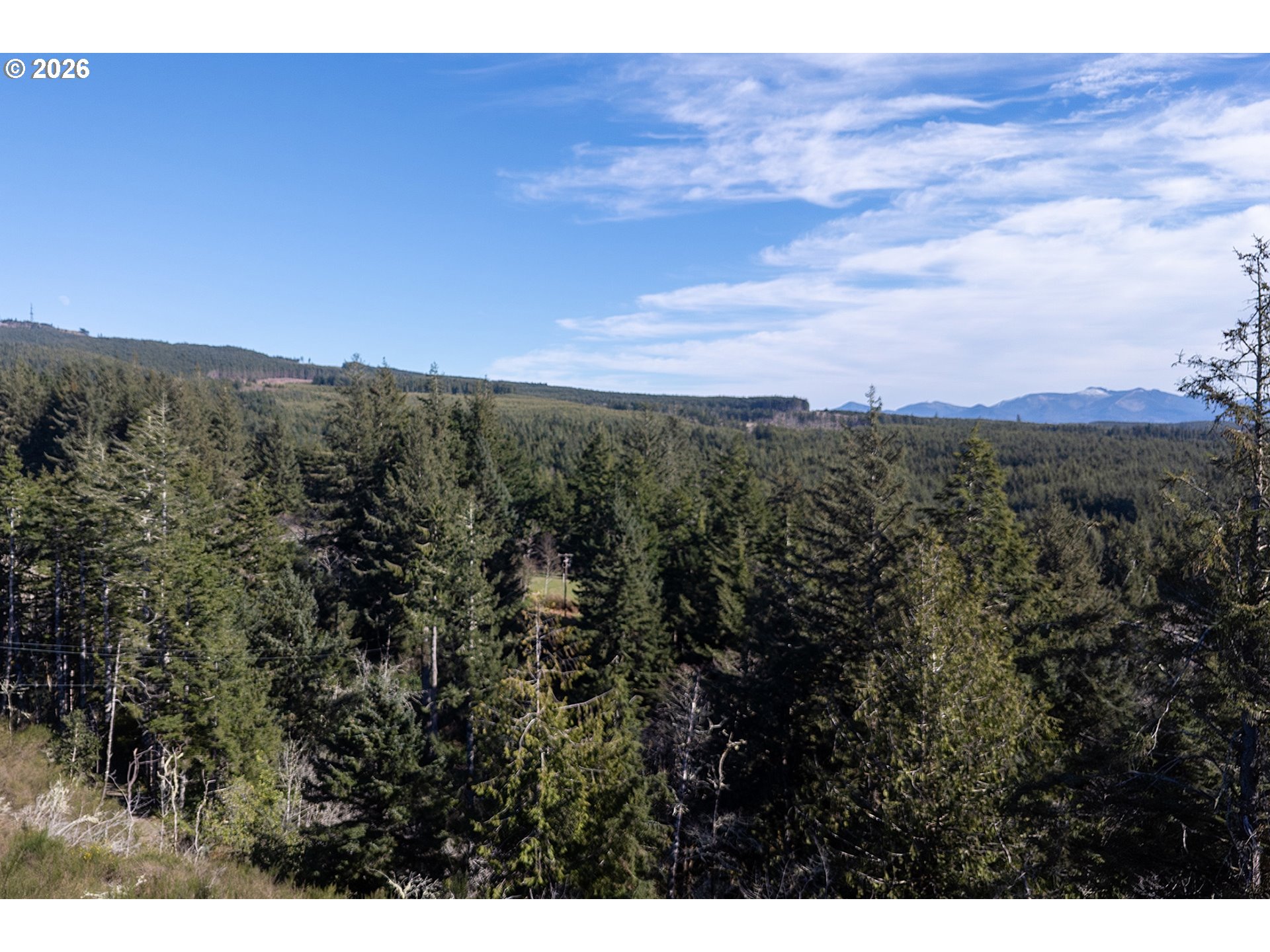 Ava Place Tillamook, OR 97141 - Photo 7 of 11