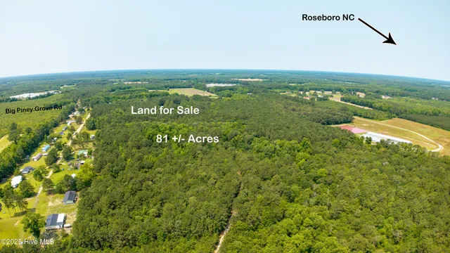 $410,000 | 0 Big Piney Grove Road, Clinton, NC 28328