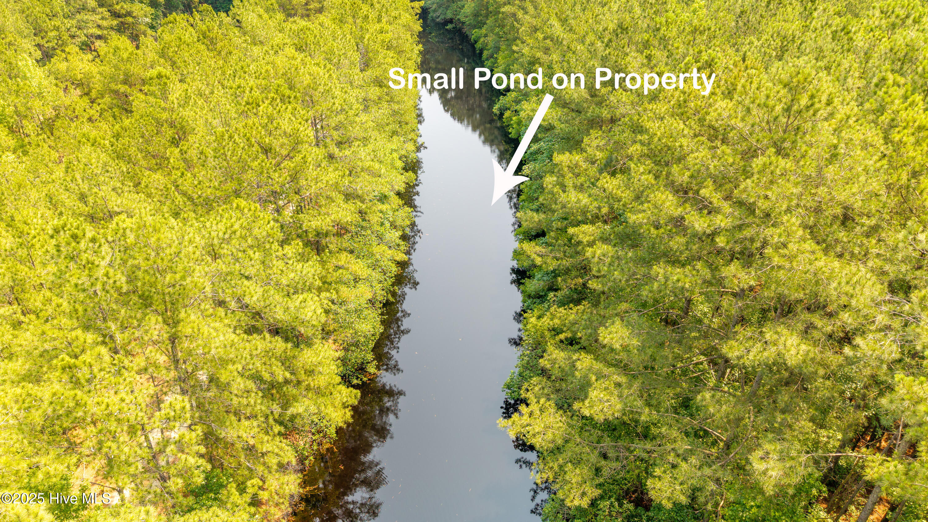 0 Big Piney Grove Road Clinton, NC 28328 - Photo 4 of 7 Big Piney Grove Rd Acres4