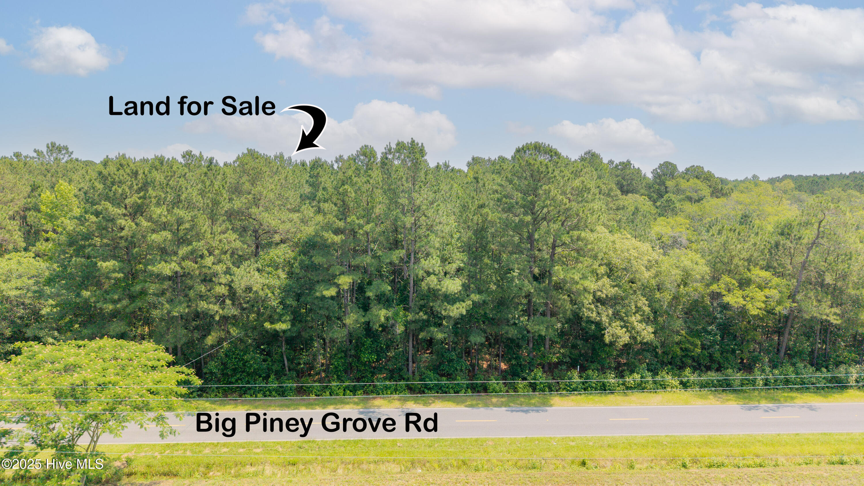 0 Big Piney Grove Road Clinton, NC 28328 - Photo 6 of 7 Big Piney Grove Rd Acres6