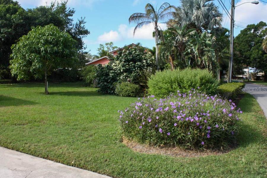 485 Plantation Road Merritt Island, FL 32952 - Photo 38 of 38 Gallery Image 38
