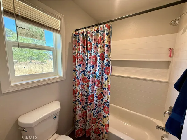 a bathroom with a toilet and a shower curtain