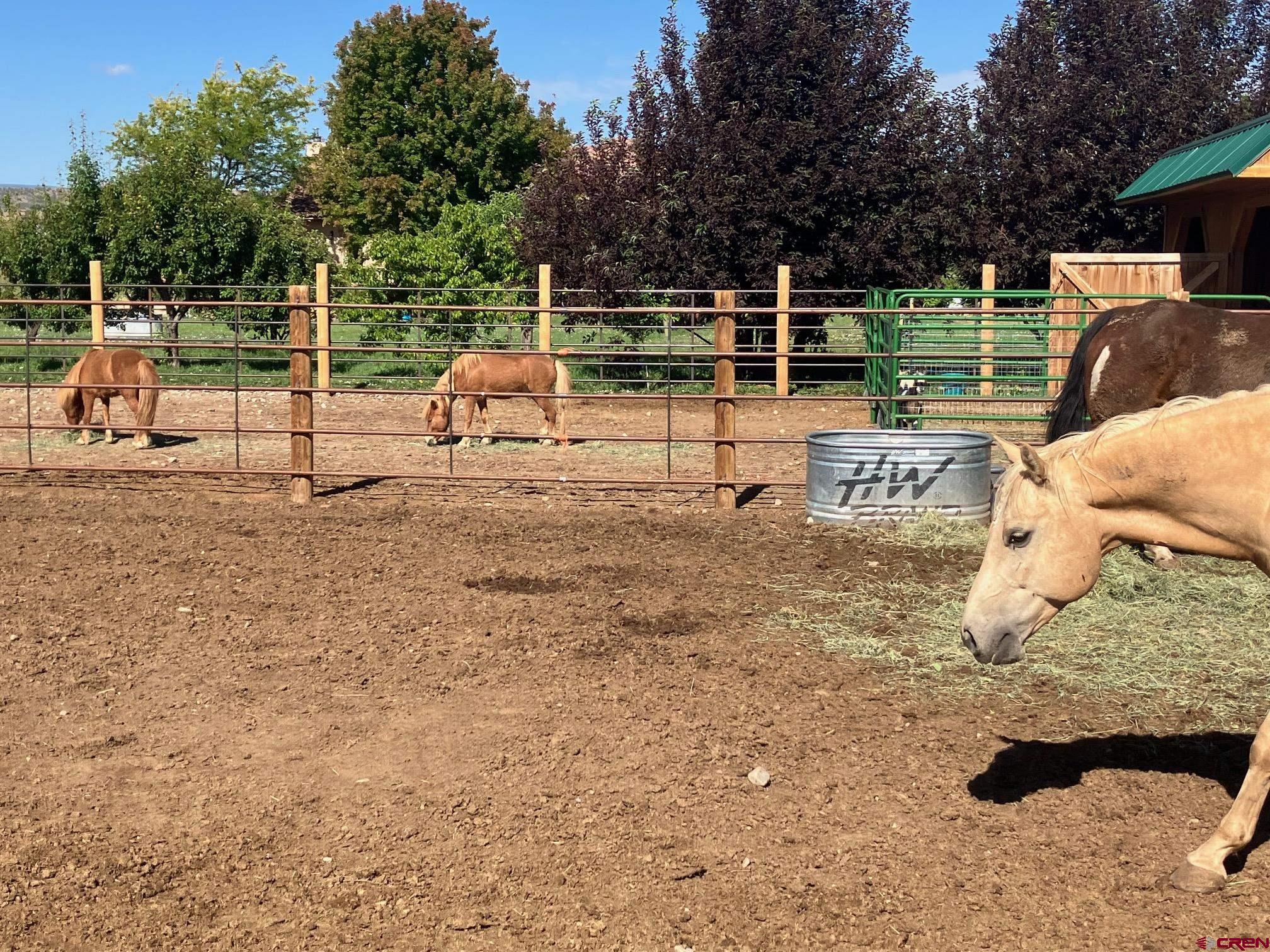 66626 Rose Road Montrose, CO 81403 - Photo 29 of 35 Gallery Image 29