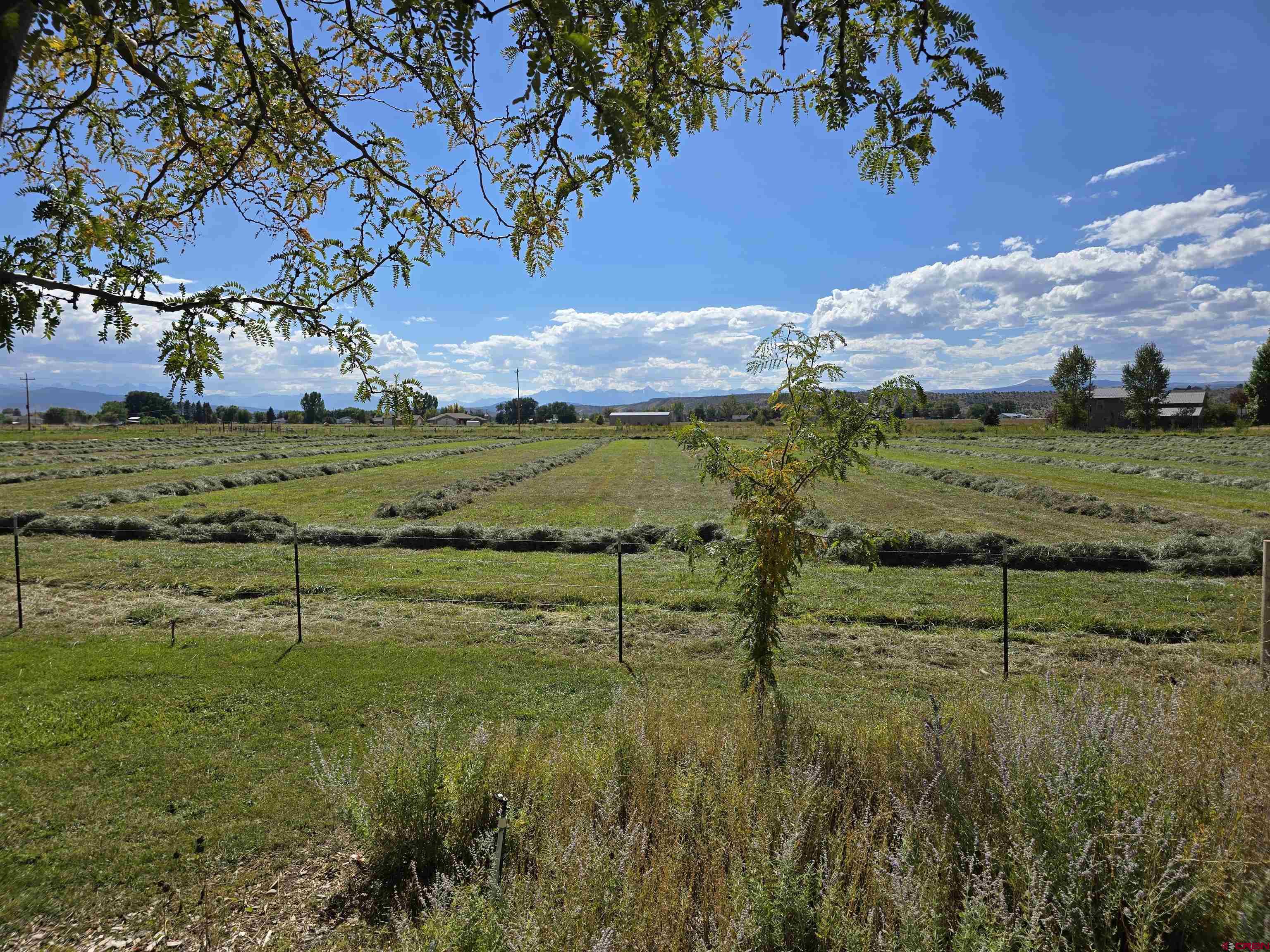 66626 Rose Road Montrose, CO 81403 - Photo 34 of 35 Gallery Image 34