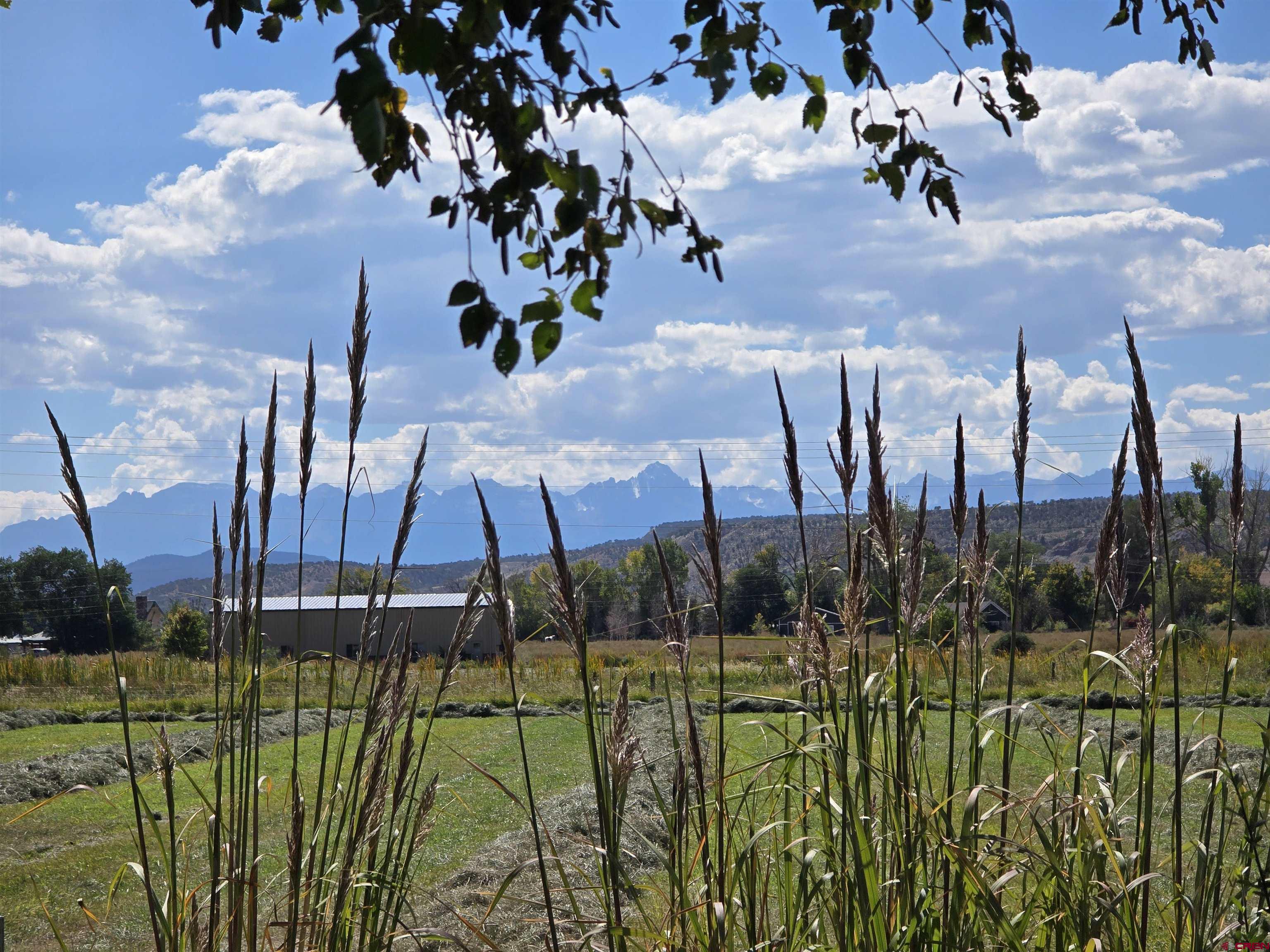 66626 Rose Road Montrose, CO 81403 - Photo 35 of 35 Gallery Image 35