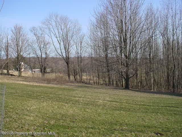 2622 Boulder Road Lake Ariel, PA 18436 - Photo 6 of 9 a big yard with trees