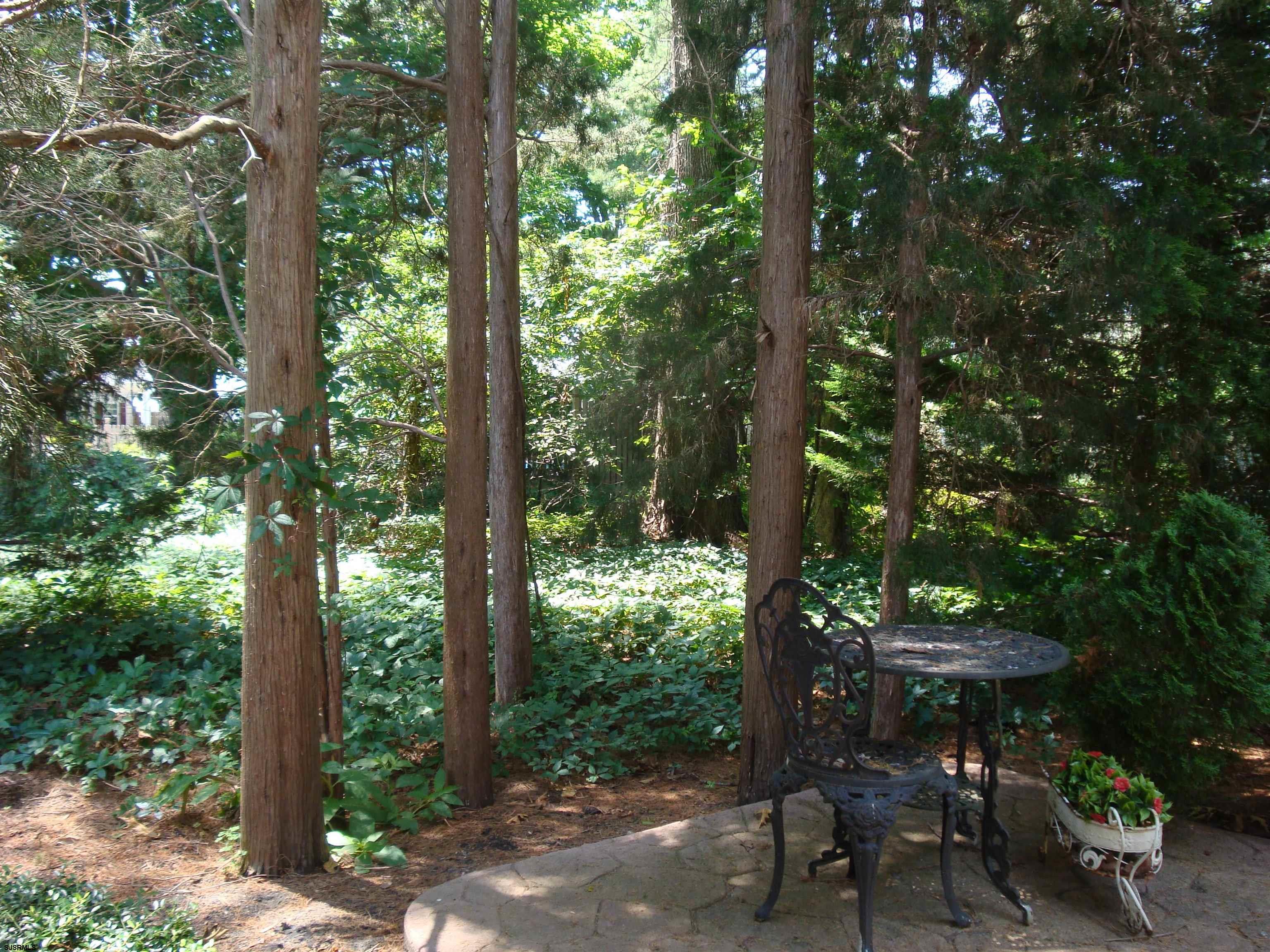 6 Devon Drive Egg Harbor Township, NJ 08234 - Photo 23 of 23 a view of a wooden bench in the forest