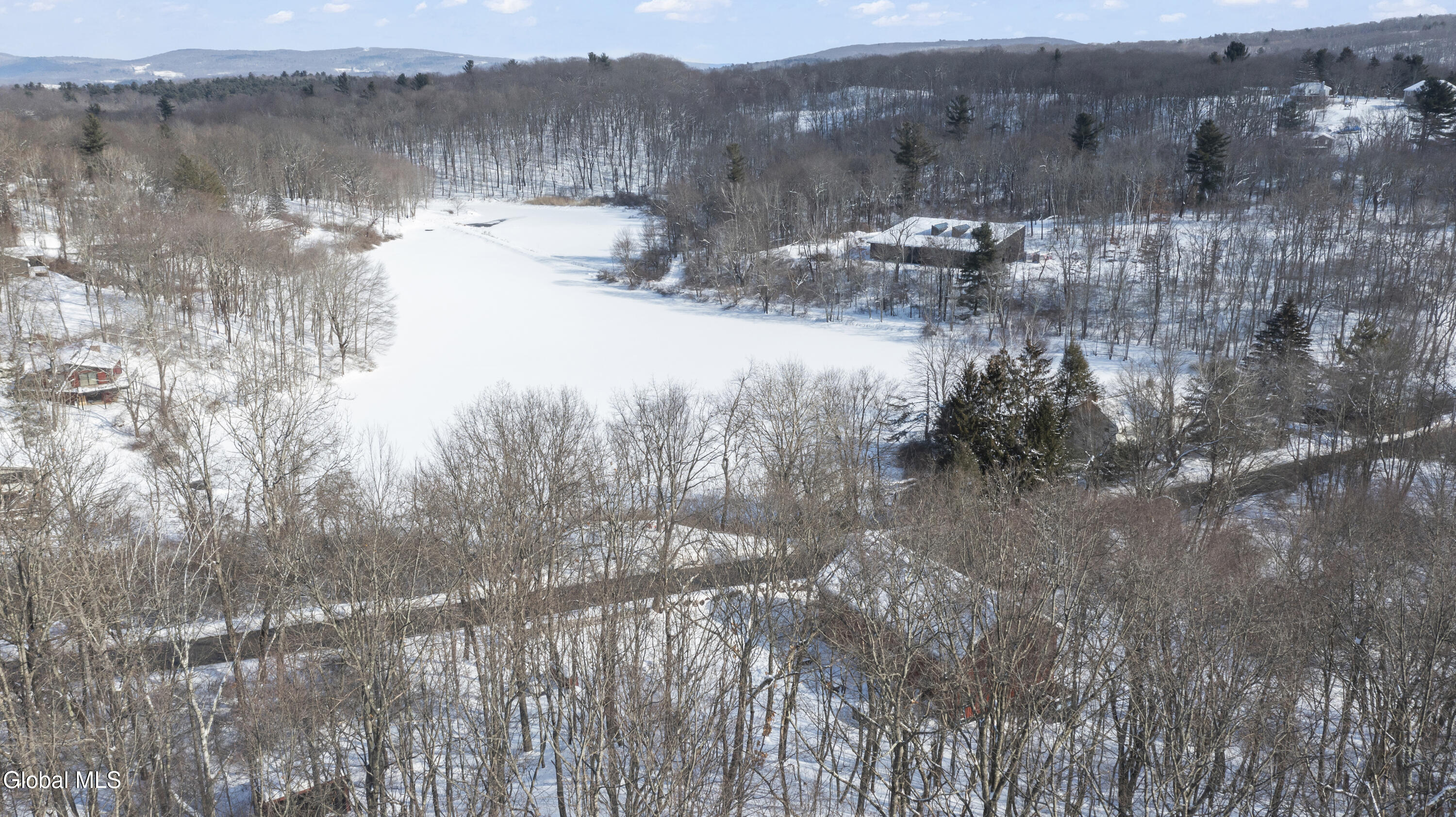 192 Lakeview Road Copake, NY 12521 - Photo 32 of 38 DJI_0873