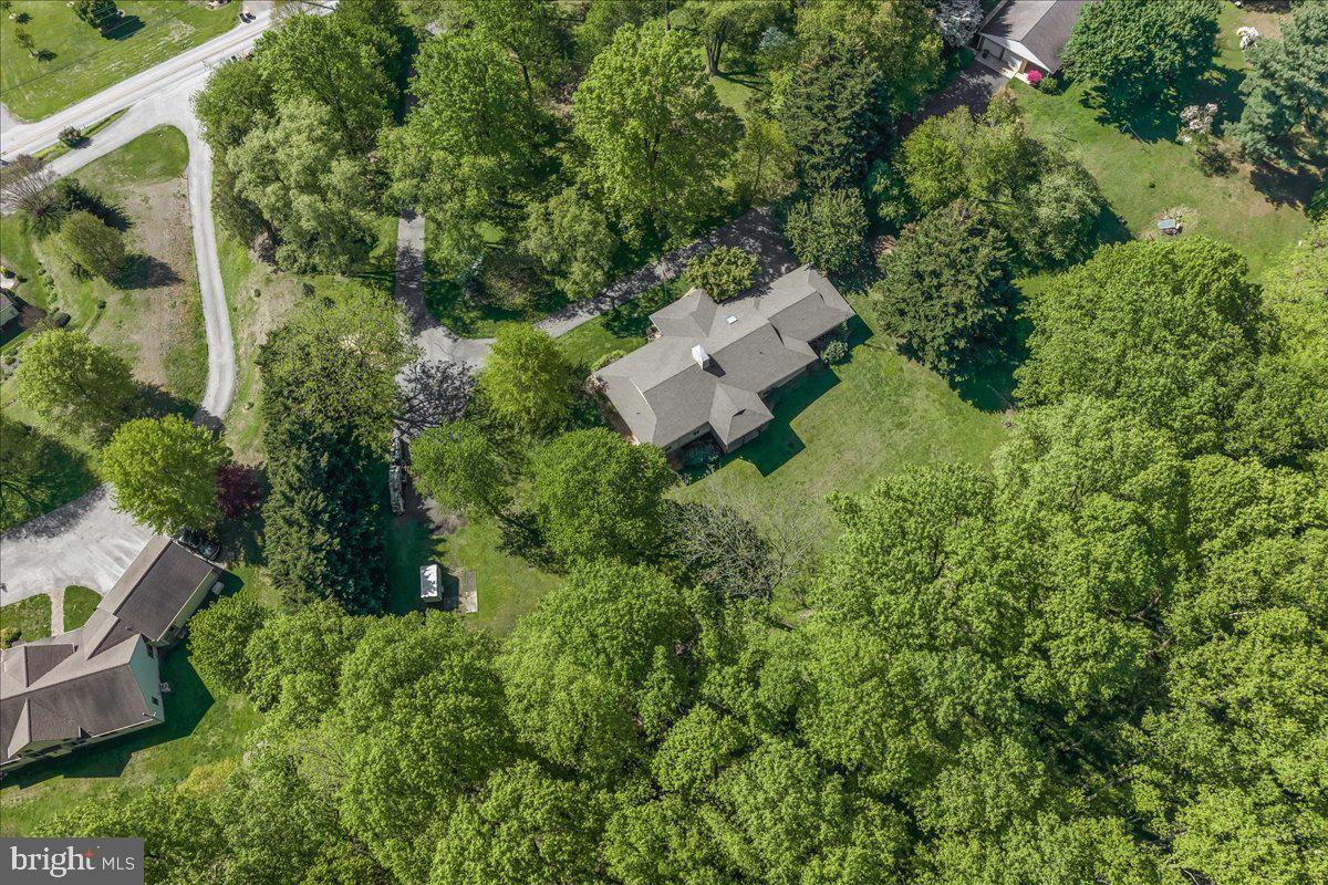 Serene retreat amidst lush greenery.