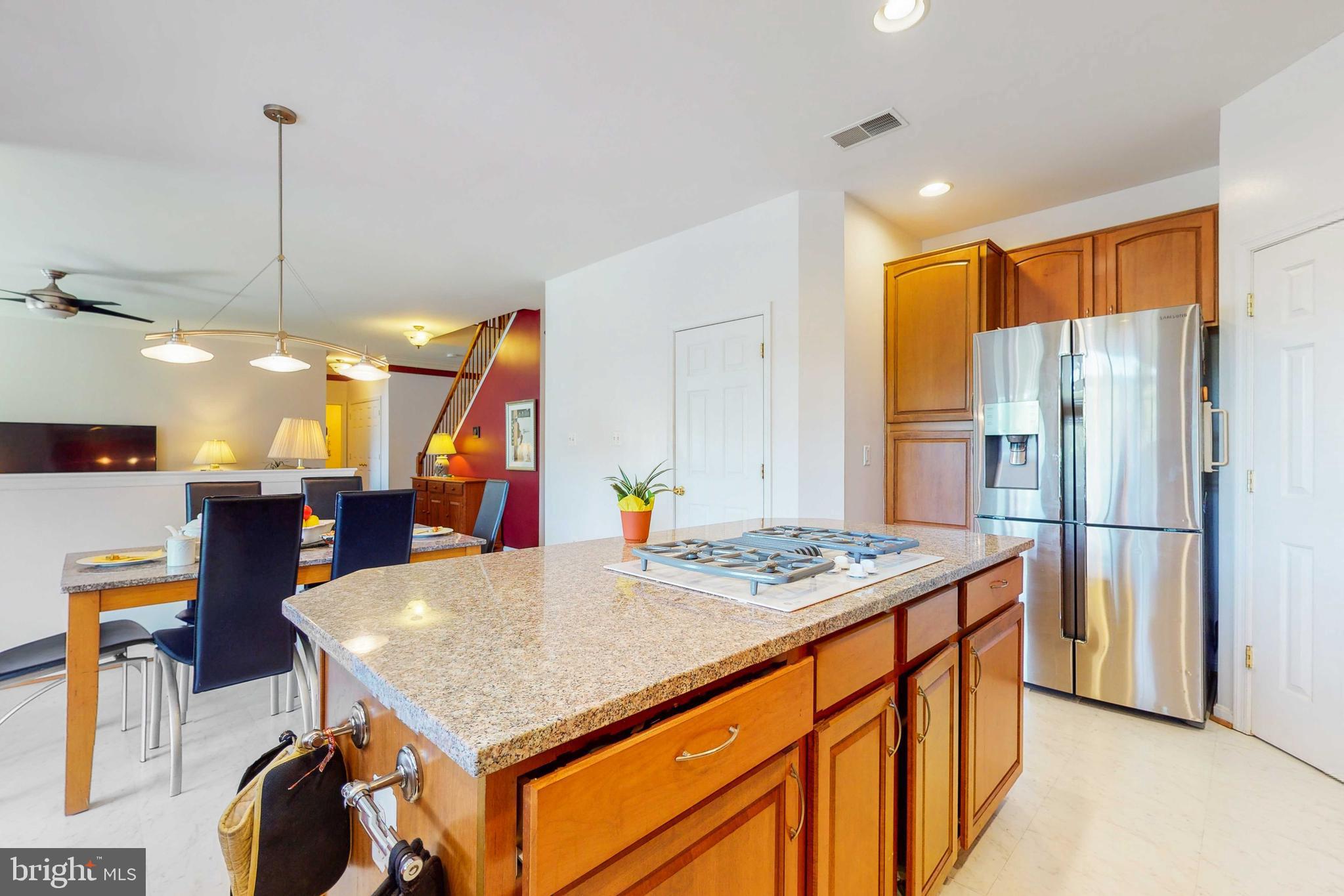 14326 Ashleigh Greene Road Boyds, MD 20841 - Photo 15 of 51 Chef's dream kitchen