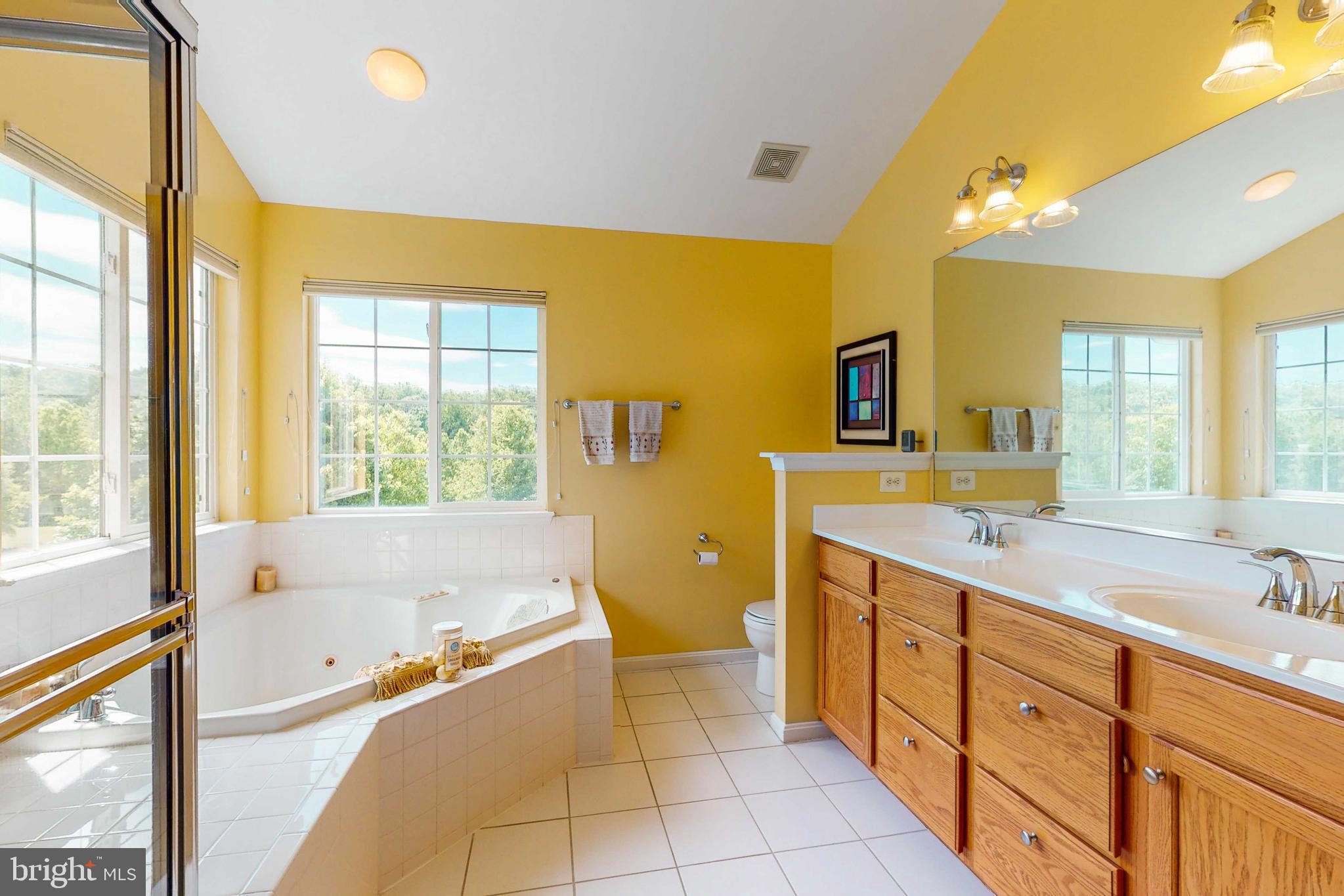 14326 Ashleigh Greene Road Boyds, MD 20841 - Photo 20 of 51 Owners Bathroom Separate Shower and Tub