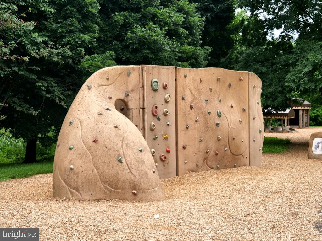 14326 Ashleigh Greene Road Boyds, MD 20841 - Photo 46 of 51 Rock Climb
