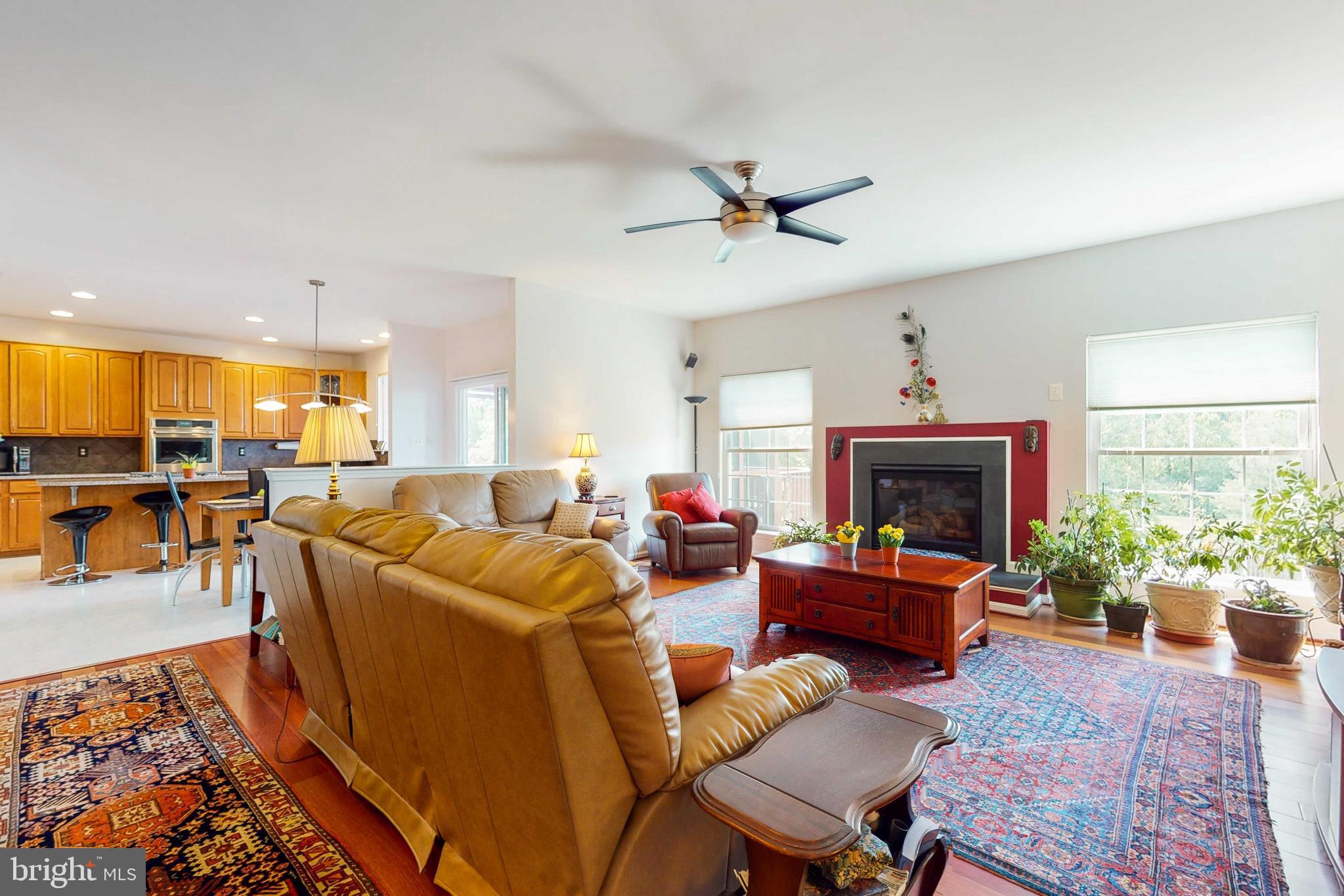 14326 Ashleigh Greene Road Boyds, MD 20841 - Photo 7 of 51 Family room with Fireplace
