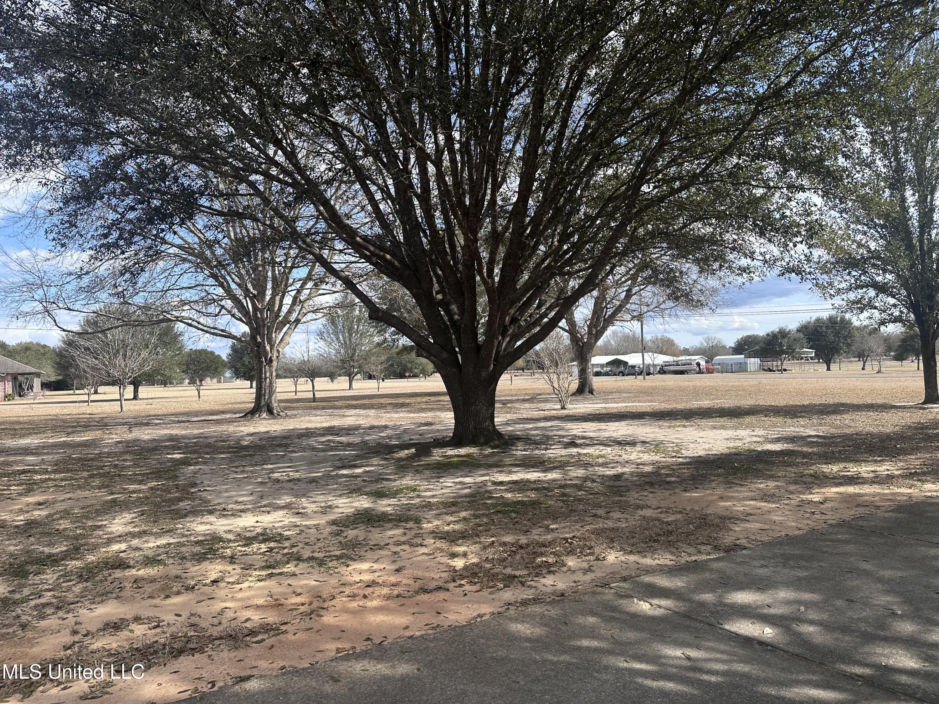 8201 Pecan Ridge Drive Moss Point, MS 39562 - Photo 49 of 54 IMG_6268