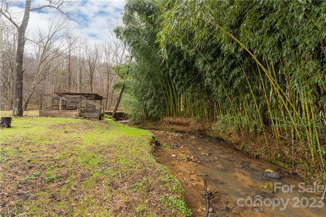 5 Cane Crest Circle Fairview, NC 28730 - Photo 3 of 13 a view of a yard with trees