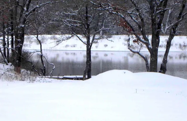 a view of yard covered with snow in front of house