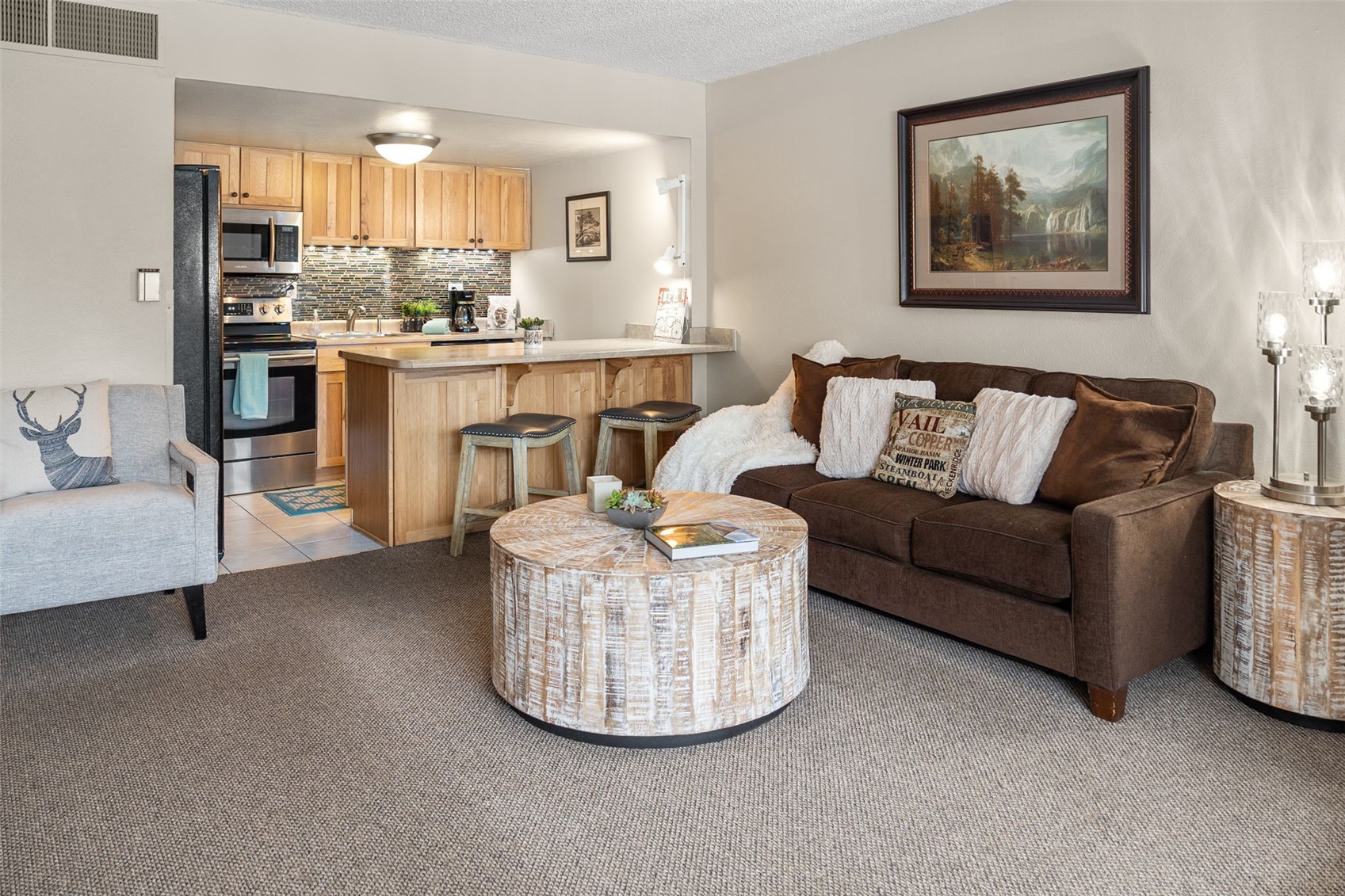 88 Guller Road, Unit 206 Frisco, CO 80443 - Photo 3 of 32 Beautiful updated oversized living area!