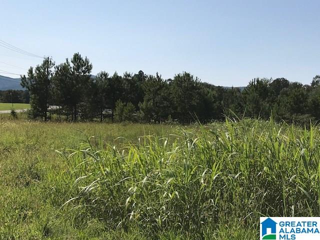 9 Easy Street, Unit 1 Anniston, AL 36207 - Photo 5 of 20