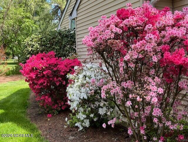 65 Alexander Drive Red Bank, NJ 07701 - Photo 79 of 87 Alex 1