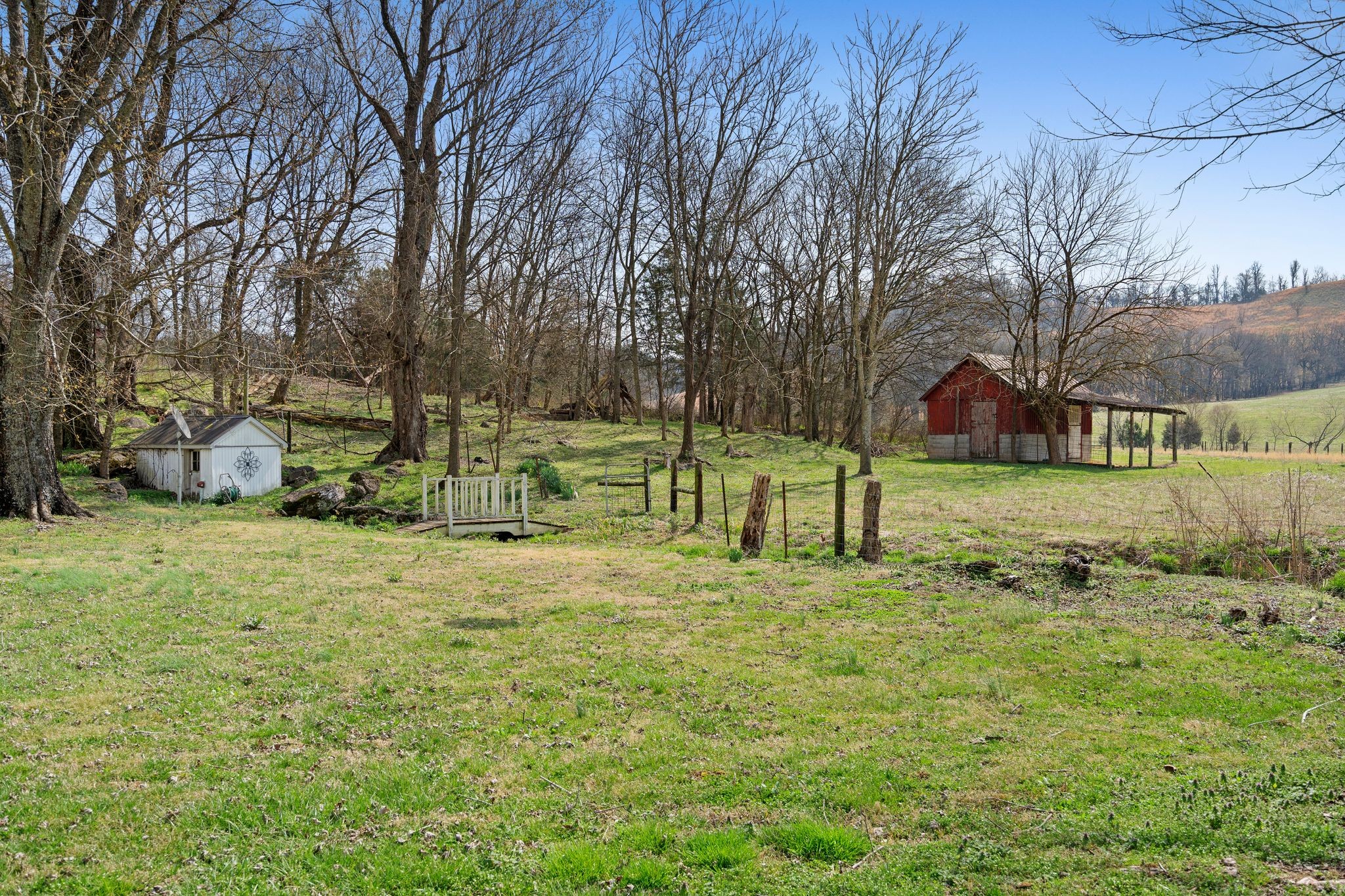 420 Beechwood Road Bell Buckle, TN 37020 - Photo 11 of 57 a view of a park with large trees
