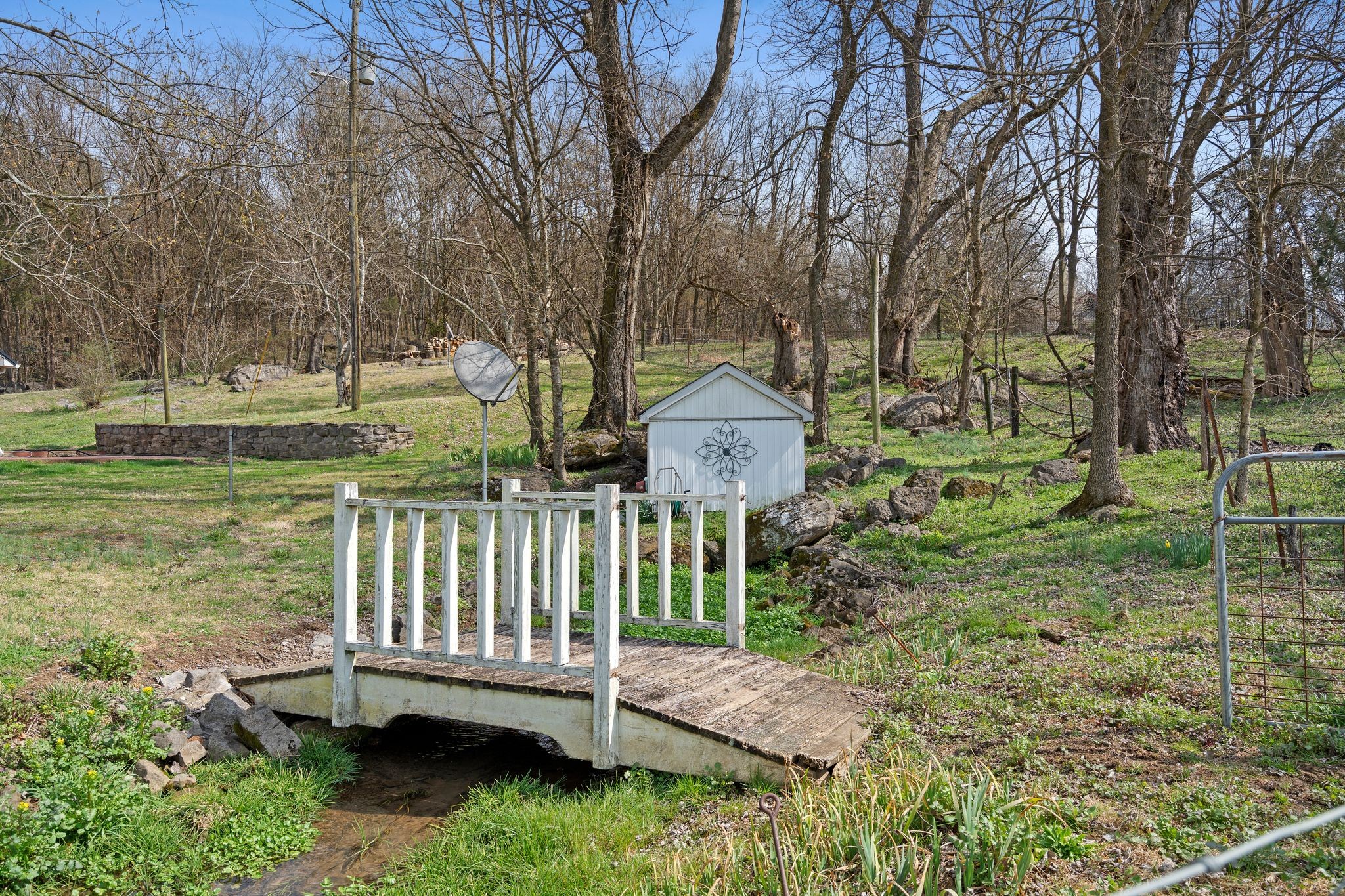420 Beechwood Road Bell Buckle, TN 37020 - Photo 10 of 57 a view of a house with backyard and trees
