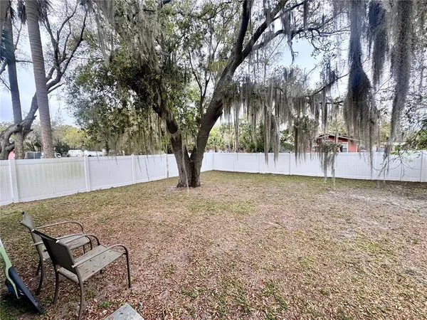 a view of backyard with tree