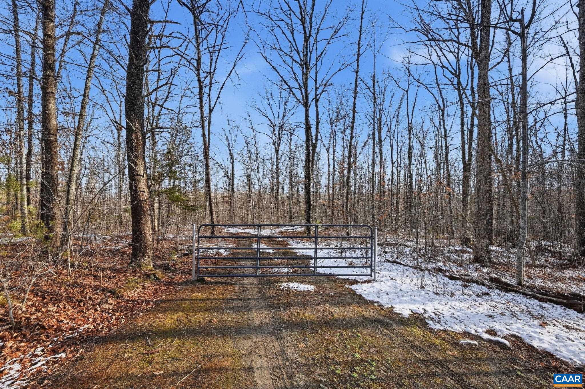 0 Justice Drive Gordonsville, VA 22942 - Photo 1 of 15 a view of outdoor space with trees