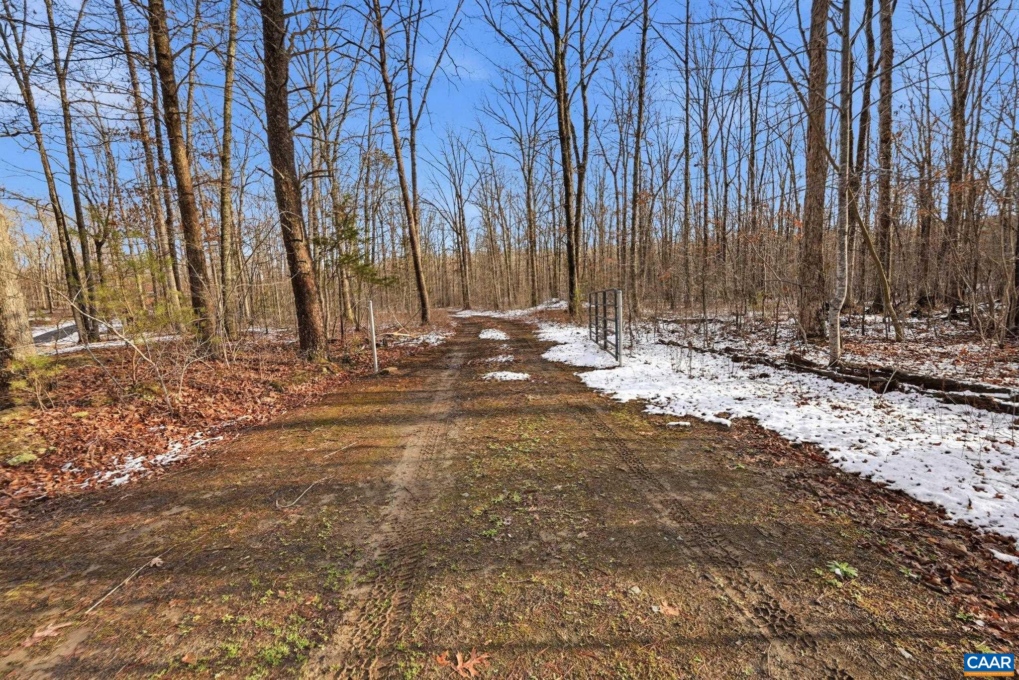 0 Justice Drive Gordonsville, VA 22942 - Photo 2 of 15 a view of a yard with large trees