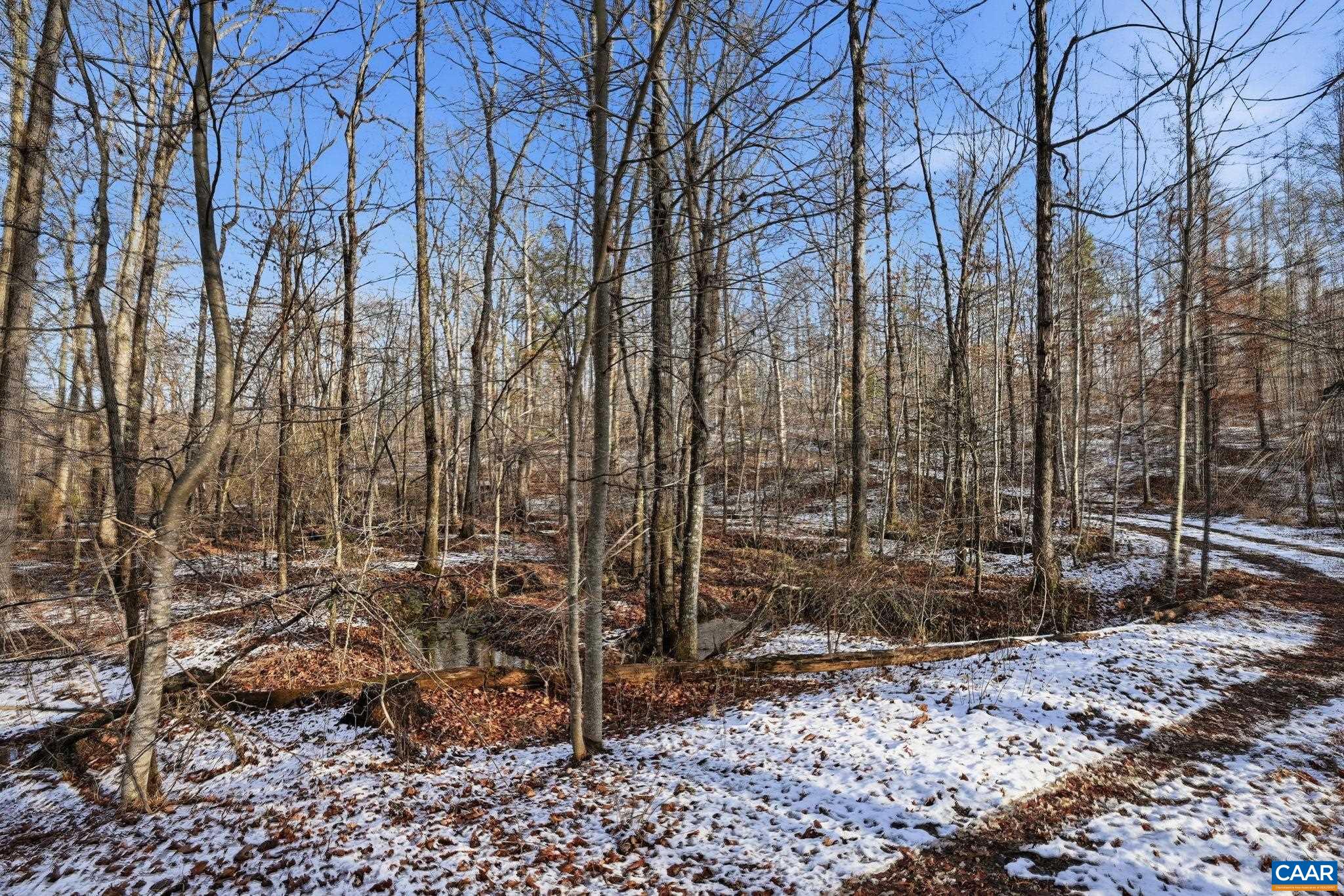 0 Justice Drive Gordonsville, VA 22942 - Photo 3 of 15 a backyard of a house with lots of green space