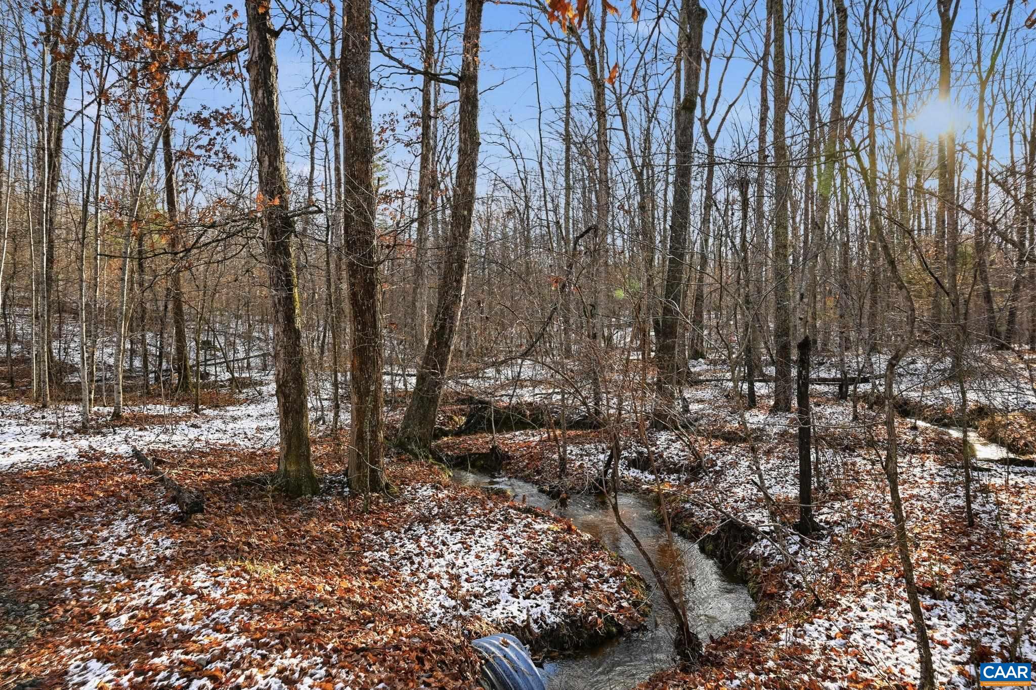 0 Justice Drive Gordonsville, VA 22942 - Photo 4 of 15 a view of a forest with trees