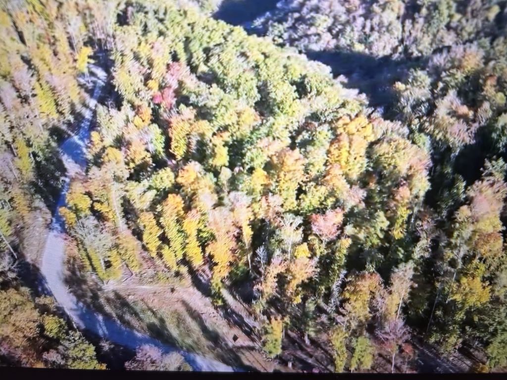 0 Ridgewood Drive Sparta, TN 38583 - Photo 2 of 3