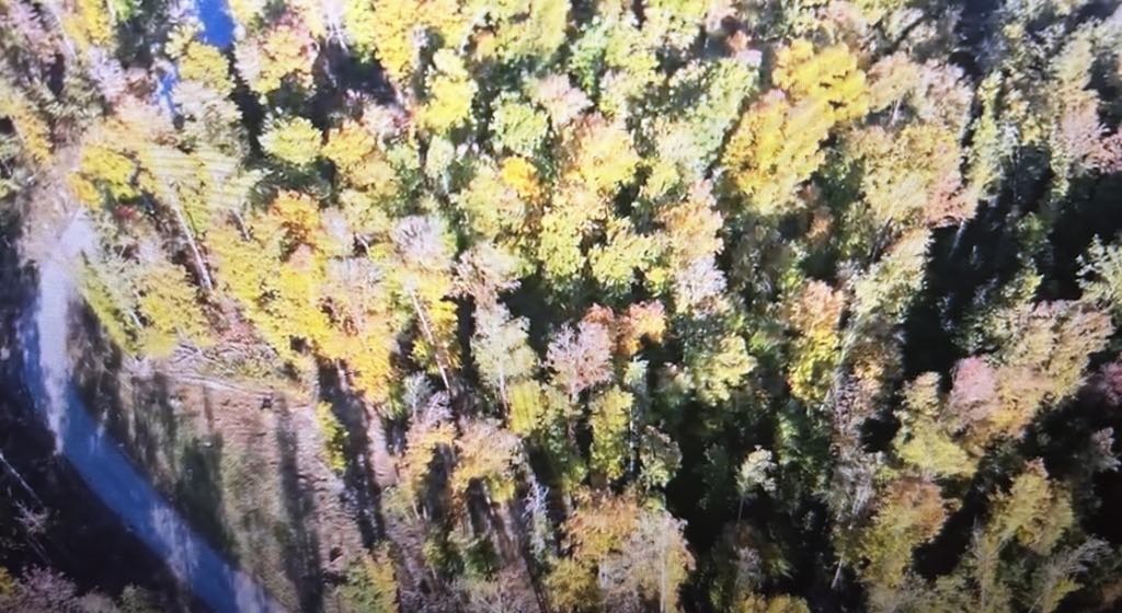 0 Ridgewood Drive Sparta, TN 38583 - Photo 3 of 3