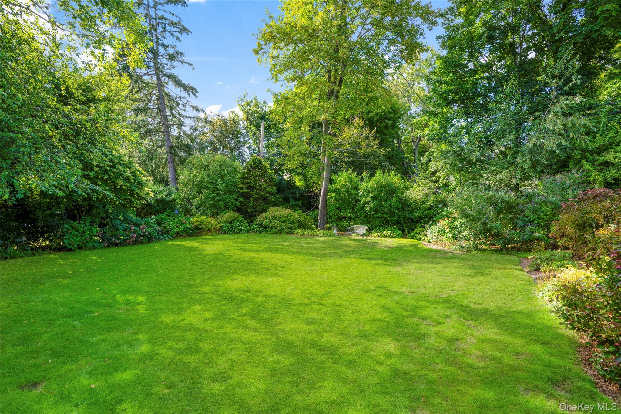 80 Forest Avenue New Rochelle, NY 10804 - Photo 41 of 48 a view of a grassy field with trees