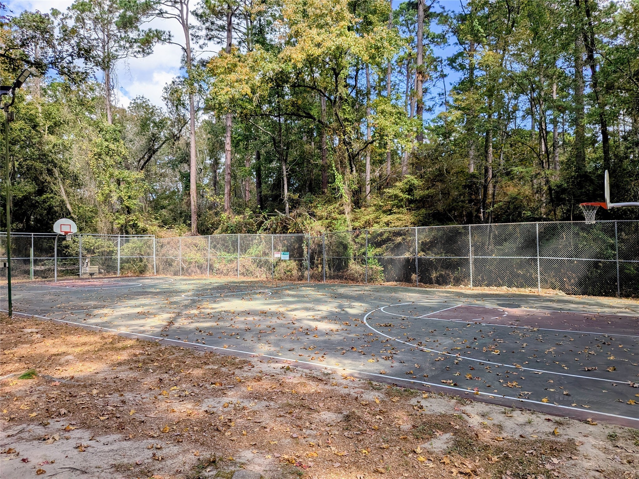 11 Castaway Lane Coldspring, TX 77331 - Photo 11 of 19