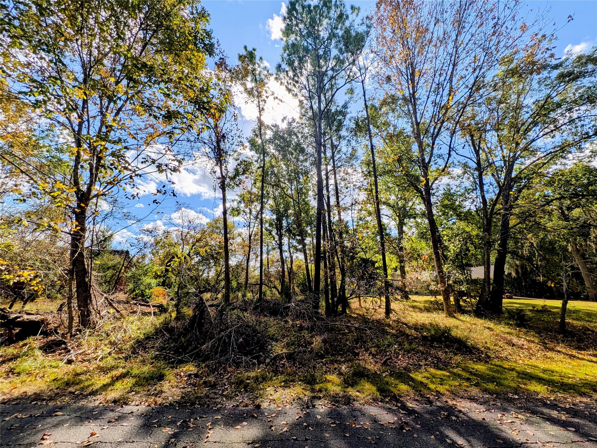 11 Castaway Lane Coldspring, TX 77331 - Photo 3 of 19 a view of a yard with trees
