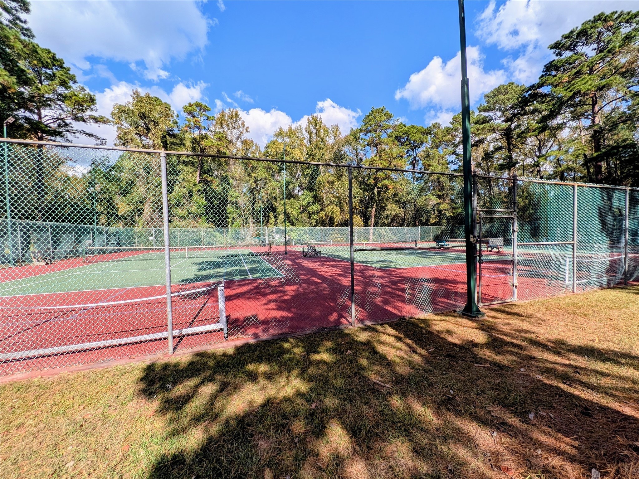 11 Castaway Lane Coldspring, TX 77331 - Photo 10 of 19