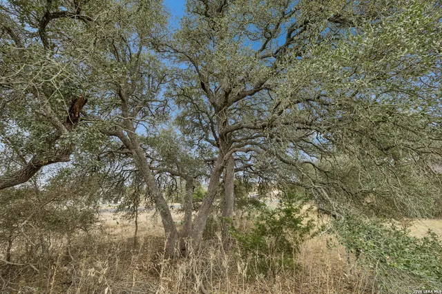 $79,500 | 134 West Pat Dolan, Blanco, TX 78606