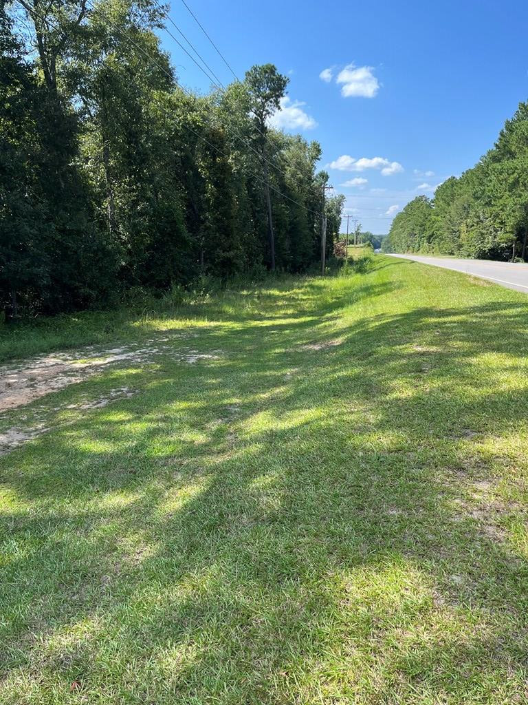 0 Columbia Road St. Matthews, SC 29135 - Photo 3 of 3 Photo 3