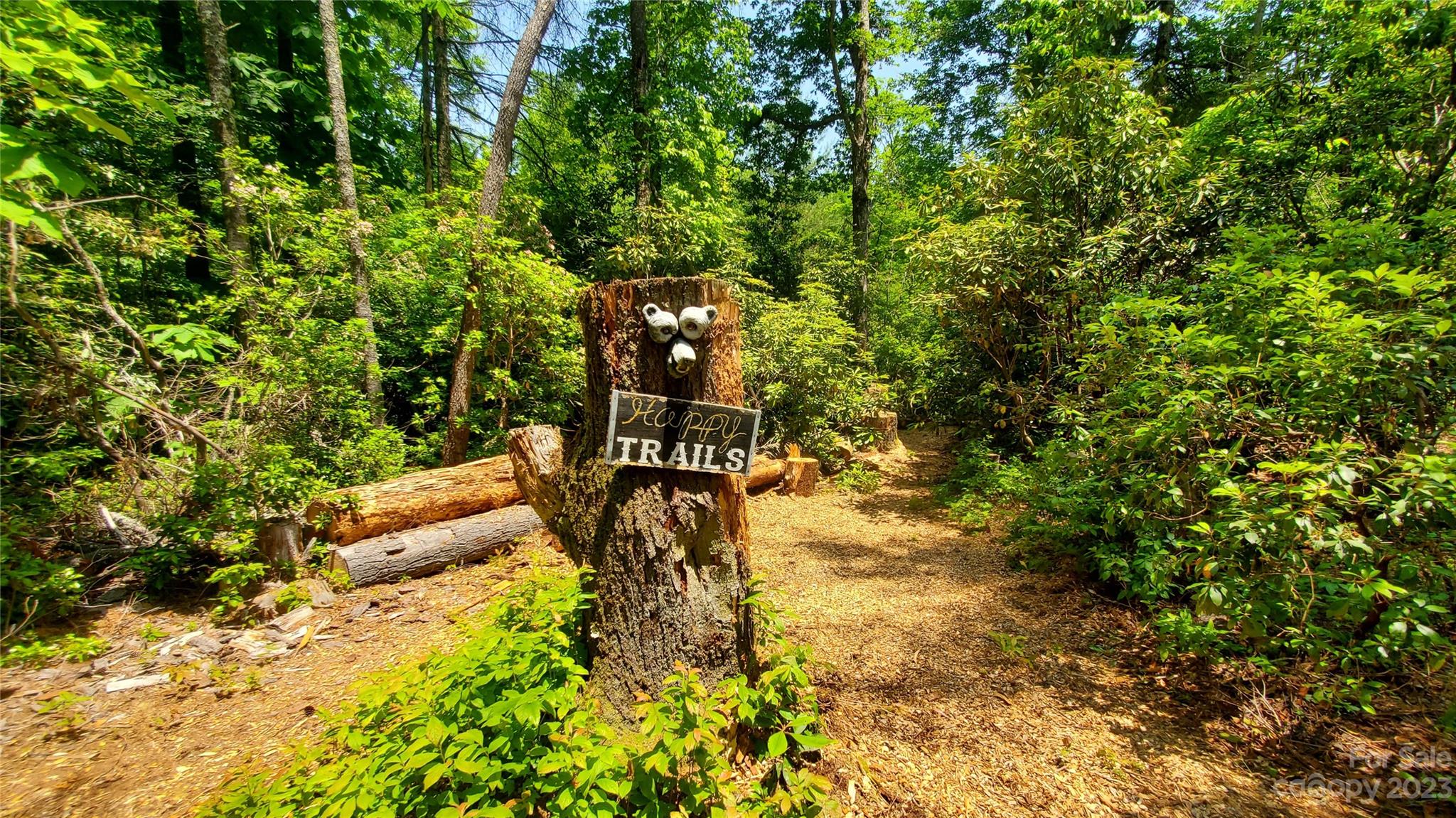 348 Fjord Road Rosman, NC 28772 - Photo 13 of 48 Gallery Image 13