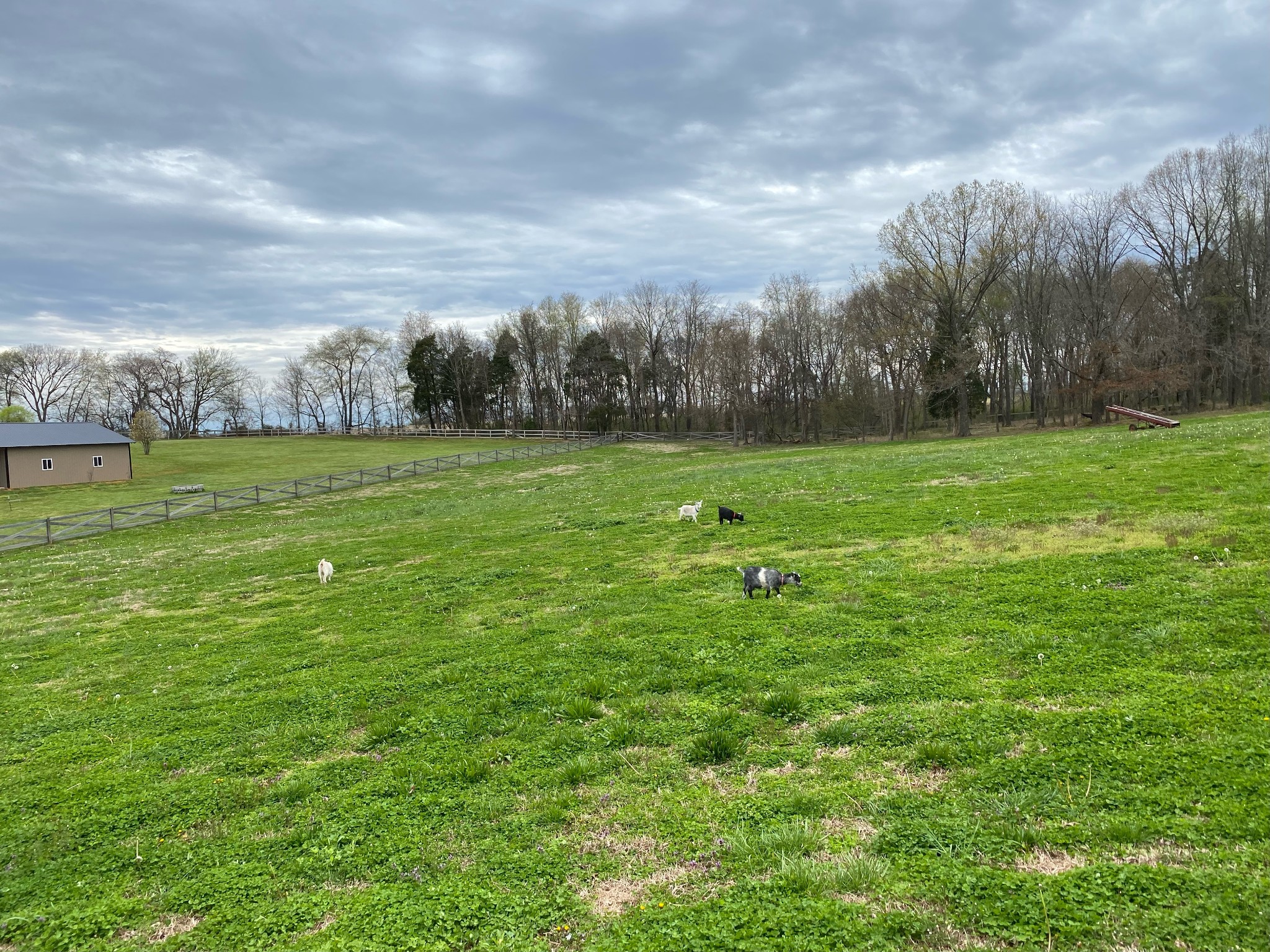 4484 North Pinson Road Portland, TN 37148 - Photo 47 of 48