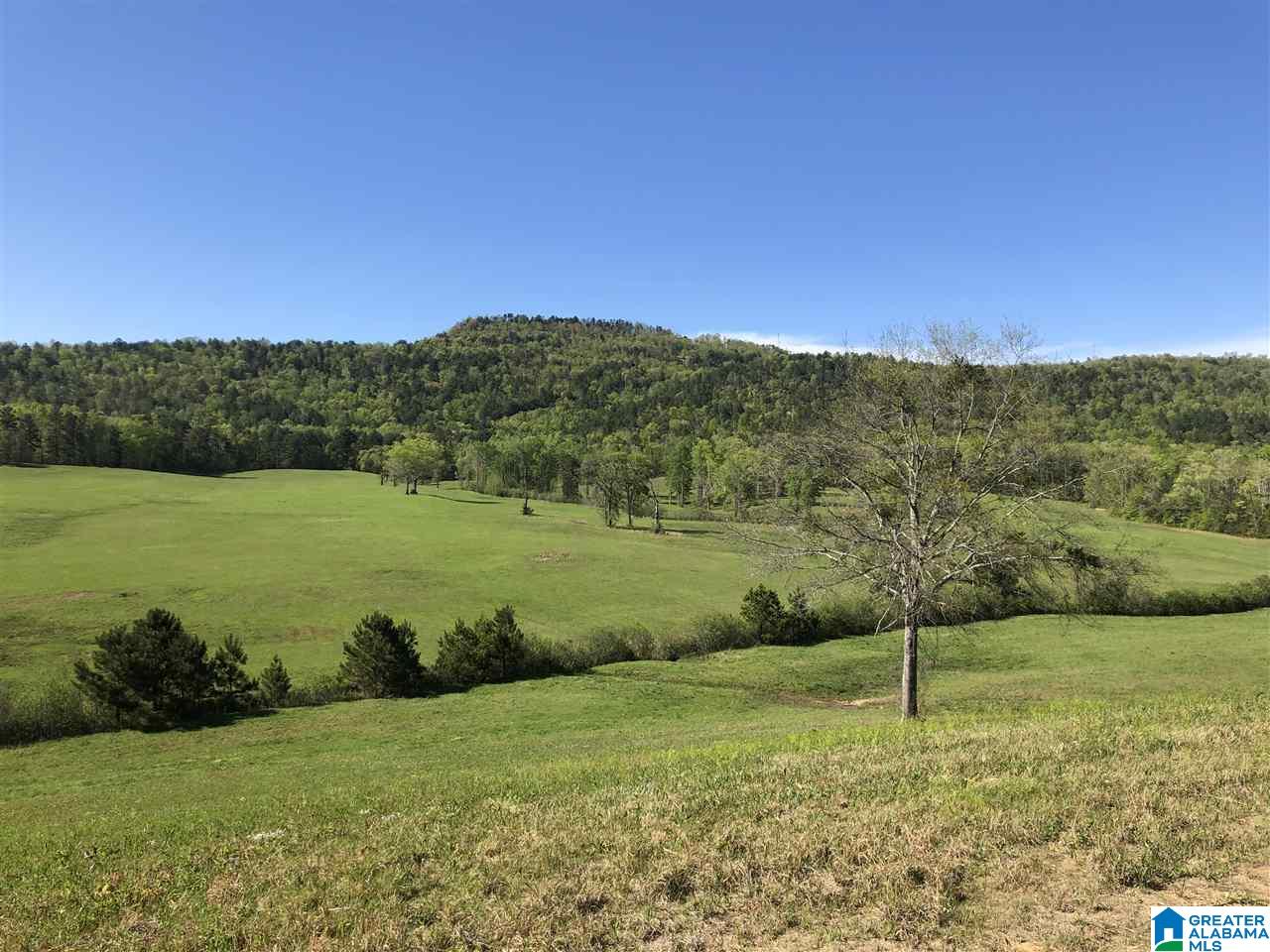1234 High Road, Unit 1 Columbiana, AL 35051 - Photo 36 of 38