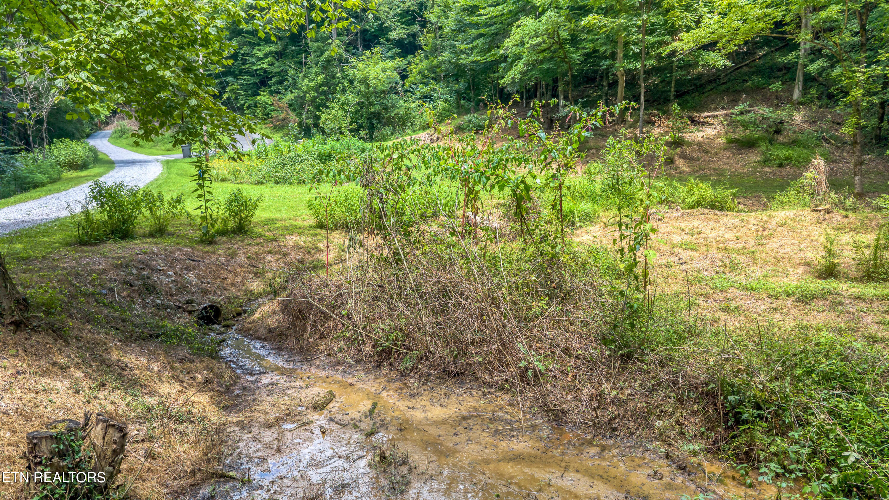 429 Trails End Road Walland, TN 37886 - Photo 7 of 26 DJI_20260720142515_0101_D-2