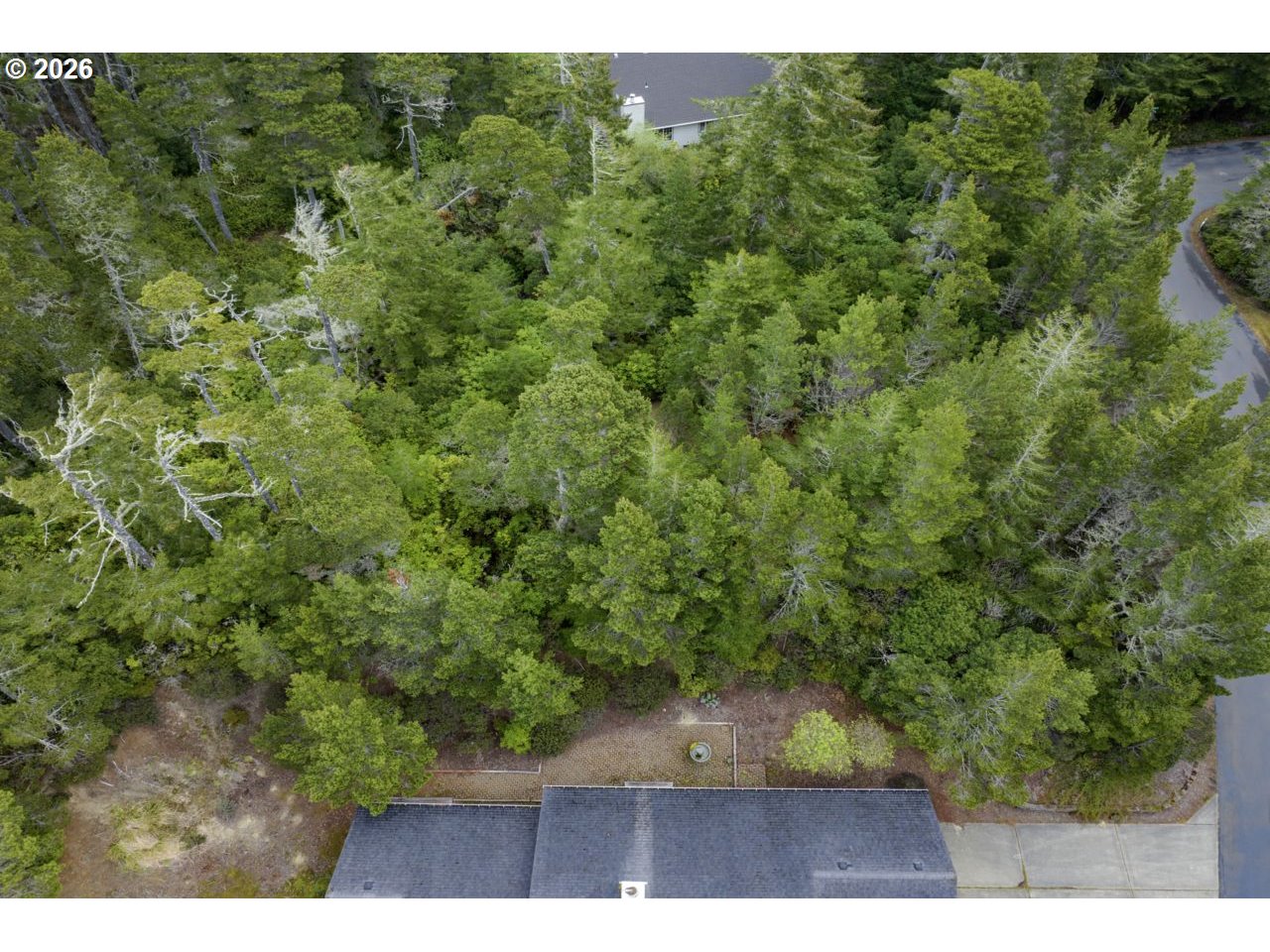 Woodlake Way, Unit 400 Florence, OR 97439 - Photo 4 of 10