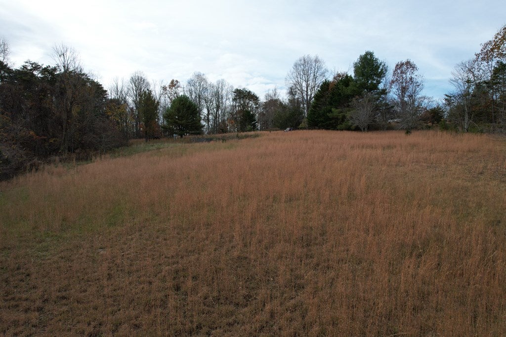 357 Bertha Farms Road Barren Springs, VA 24313 - Photo 6 of 30 Gallery Image 6