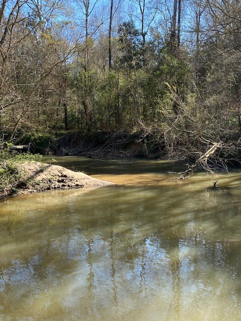 3492 Patterson Road Liberty, MS 39645 - Photo 12 of 32 Photo 12