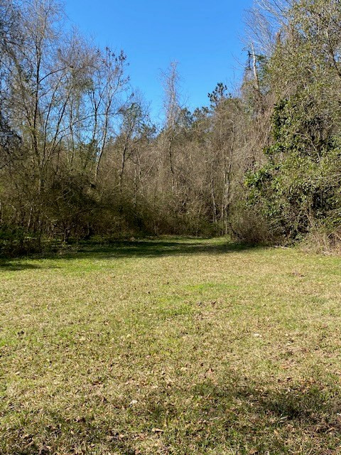 3492 Patterson Road Liberty, MS 39645 - Photo 13 of 32 Photo 13